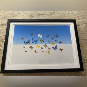 Gray Malin- First Edition Signed & Numbered Butterflies. The Edition is Sold Out